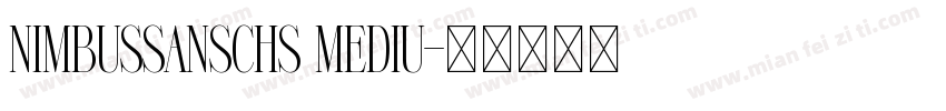 NimbusSansCHS Mediu字体转换